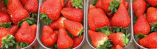 fragole Fragole