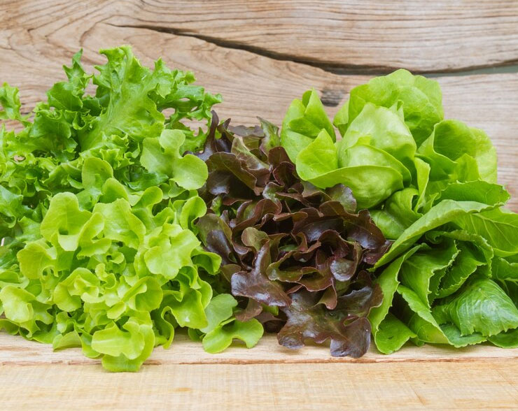 insalata1