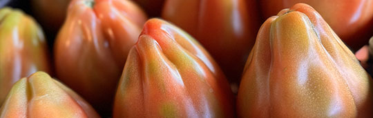pomodori-cuore-di-bue Pomodori Cuore di Bue