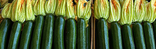 zucchine Zucchine