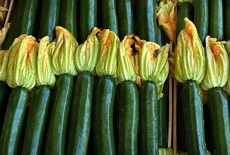 zucchine2