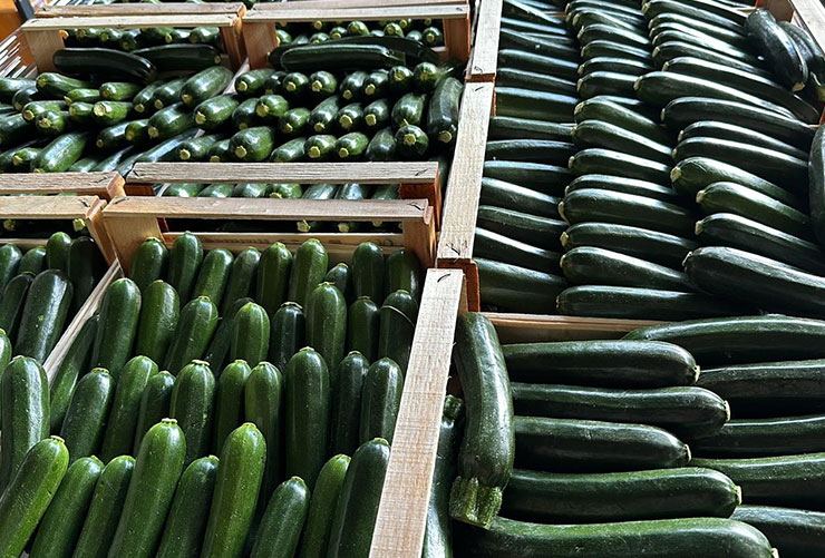 zucchine3